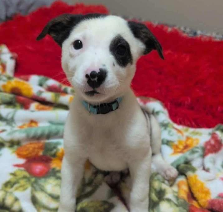Photo of Cash