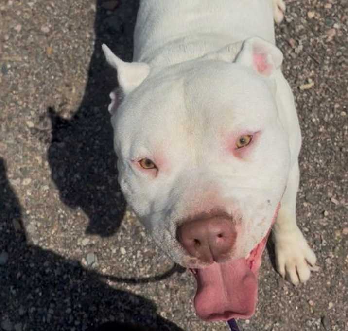 Photo of Olaf