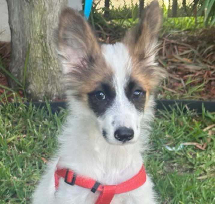 Photo of LUCY