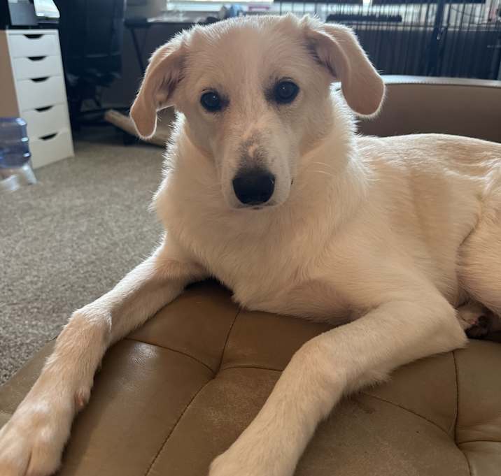 Photo of Holly