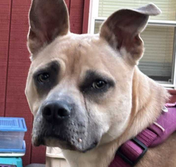 Photo of Libby Lou