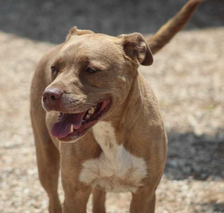 Photo of Hazel