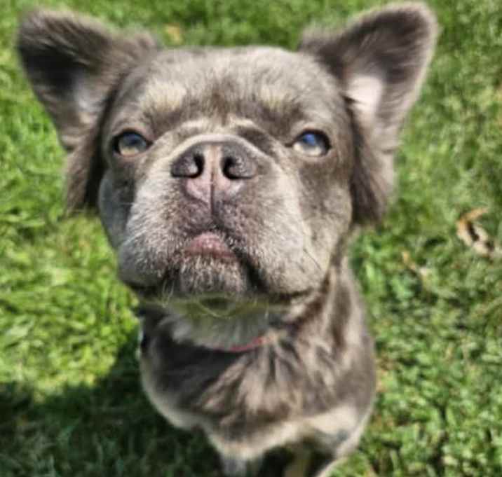 Photo of Freeda
