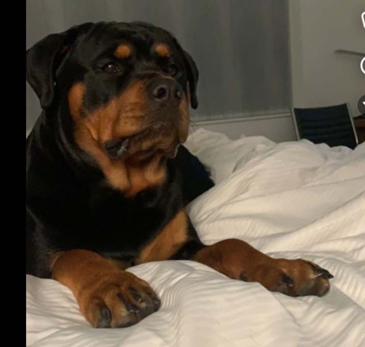 Photo of Chops/ Grandpa