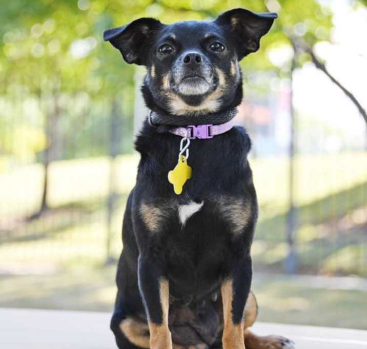 Photo of Tresa