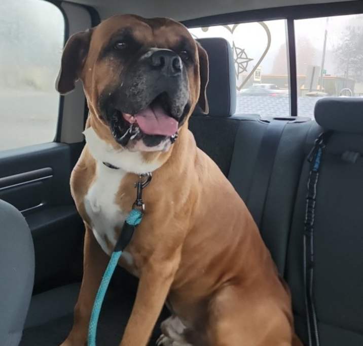 Photo of Zeus