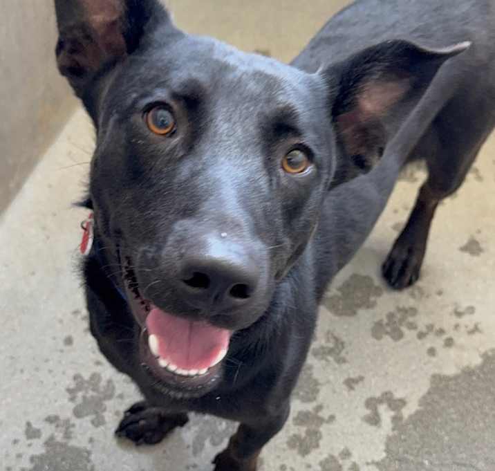 Photo of Martin A2207728