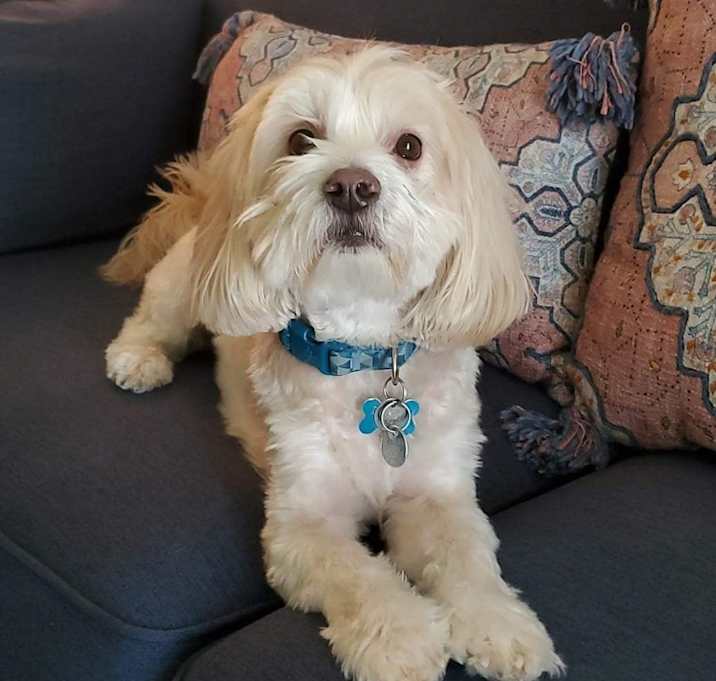 Photo of Bentley