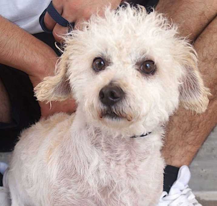 Photo of Monty