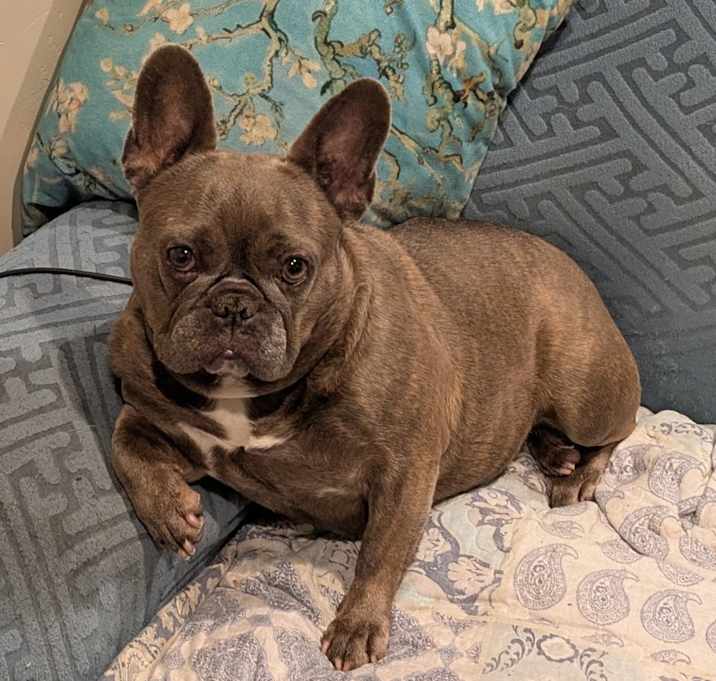 Photo of LunaLoo