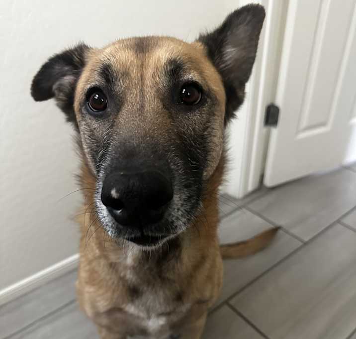 Photo of Roxie