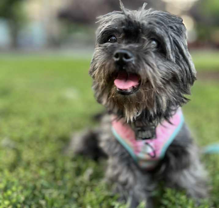 Photo of Hazel
