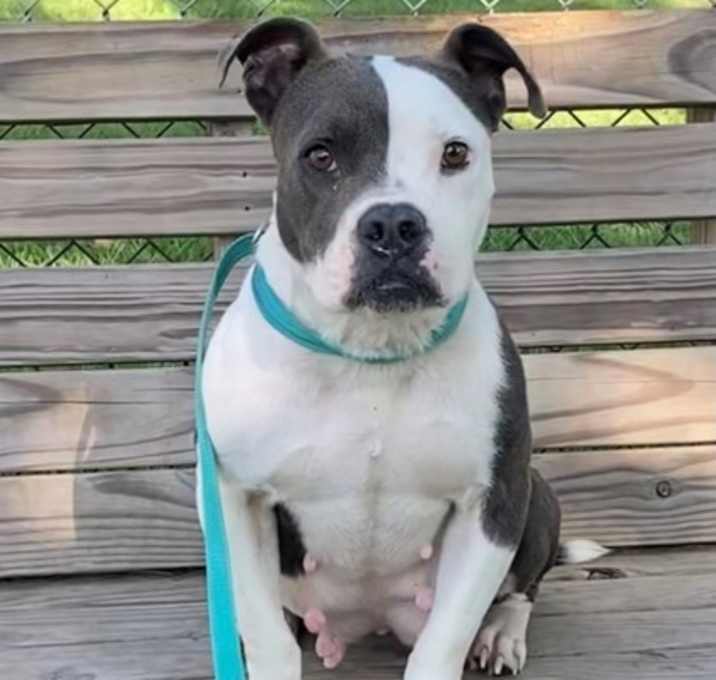 Photo of Keena