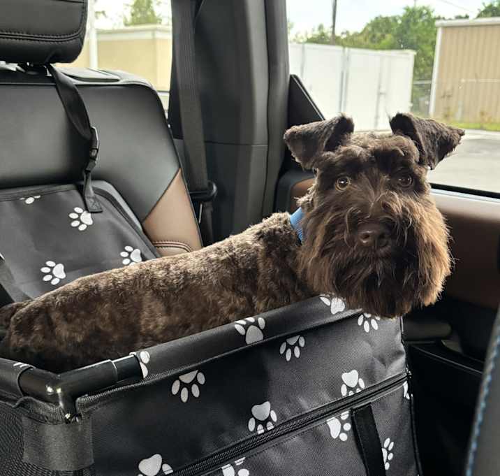 Photo of Maverick