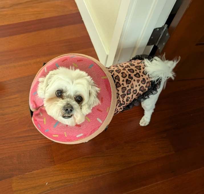 Photo of Rhea