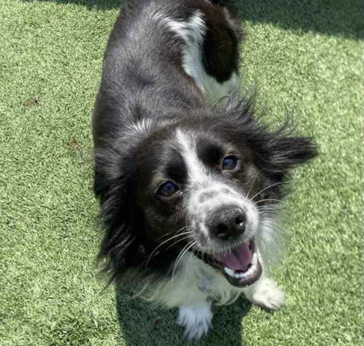 Photo of Lucy