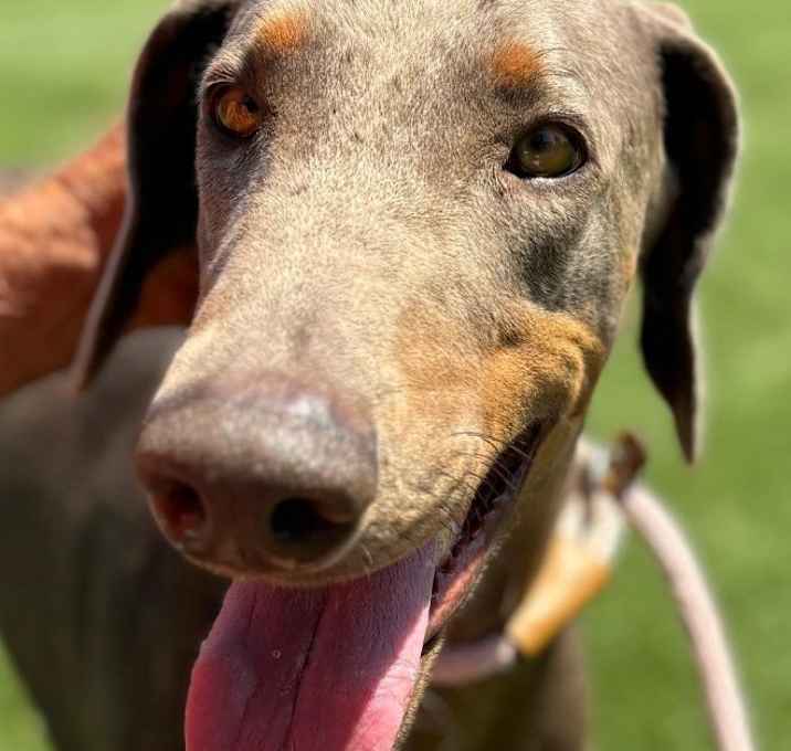 Photo of Sheena