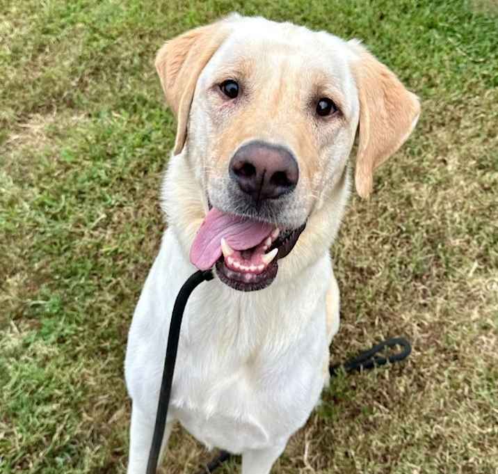 Photo of Parker