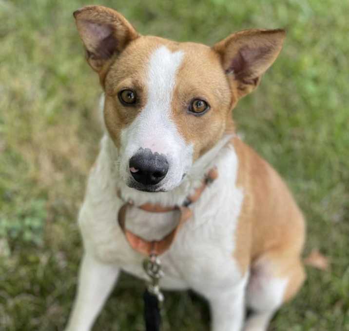 Photo of Marlin