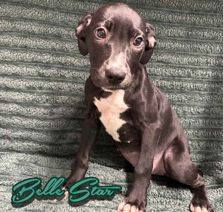 Photo of Belle Star