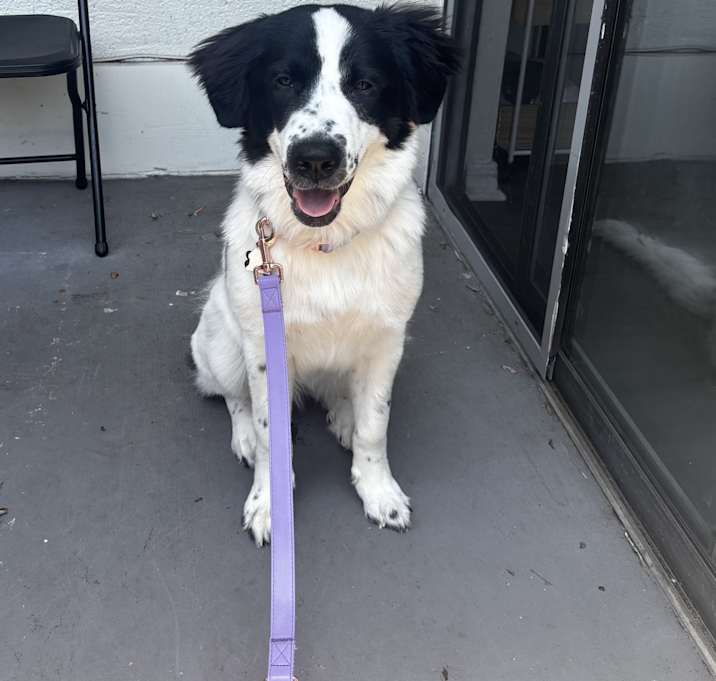 Photo of Isla