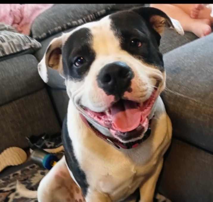 Photo of Grizz