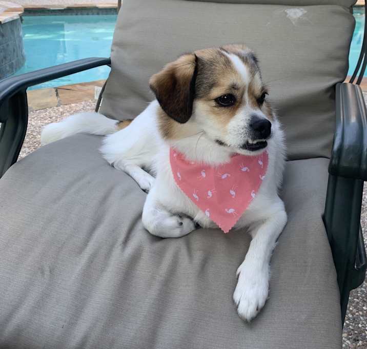 Photo of Dutchess