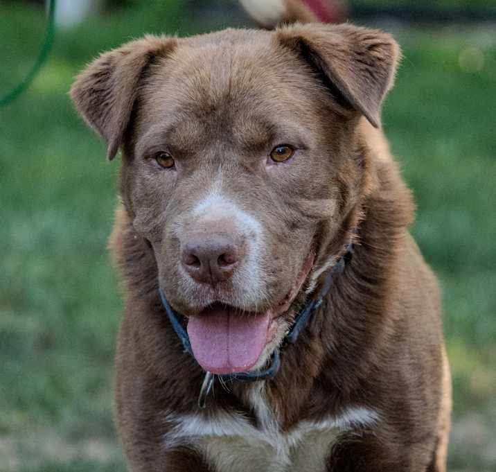 Photo of Thor