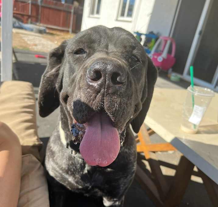 Photo of Baya