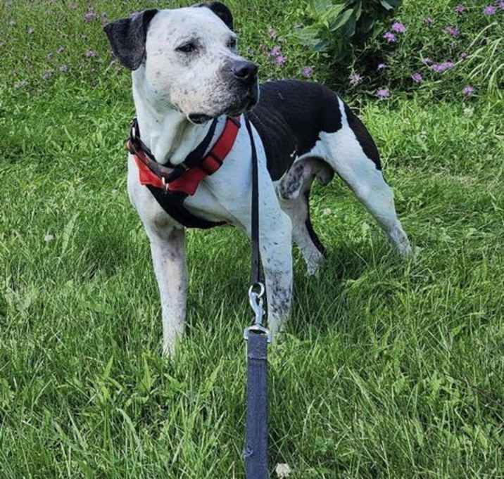Photo of Hans