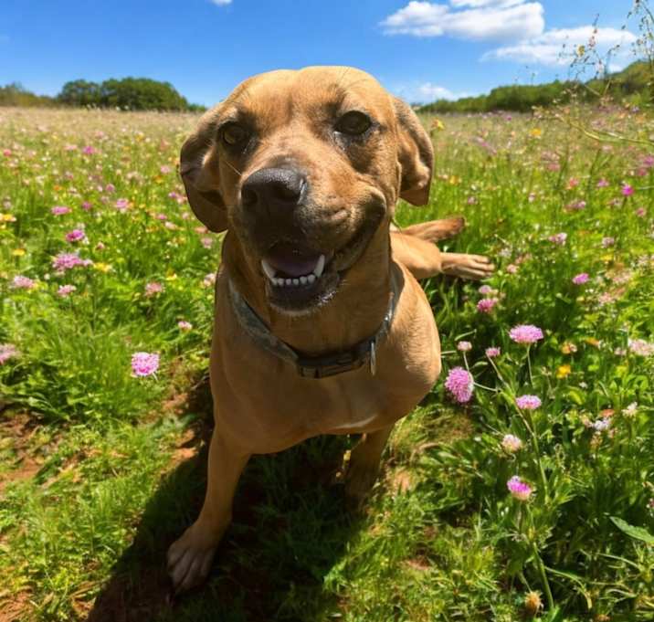 Photo of Sheila