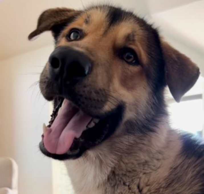 Photo of Brewski