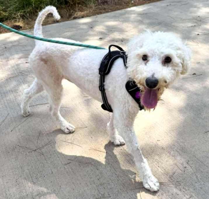 Photo of Clementine