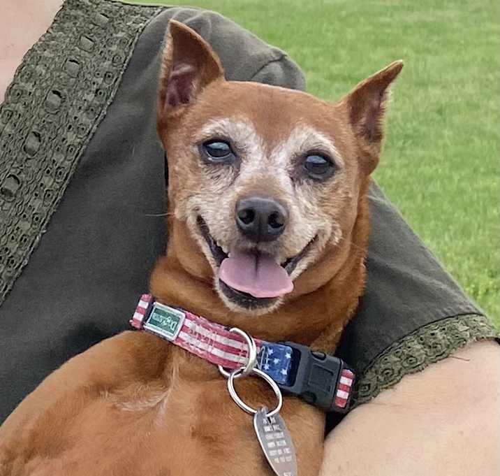 Photo of Simba
