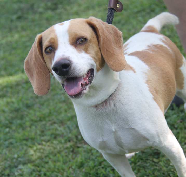 Photo of Jethro