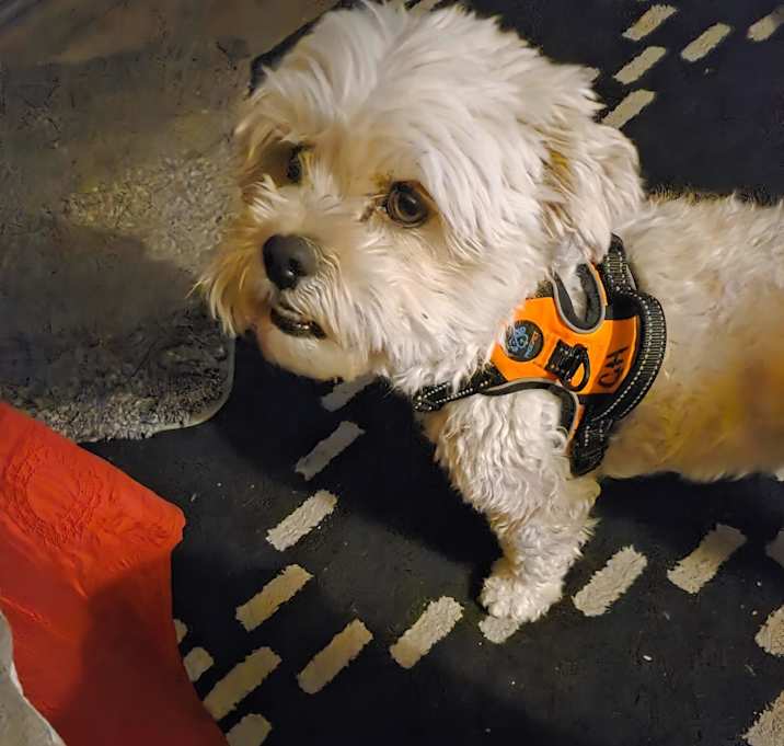 Photo of Pancake