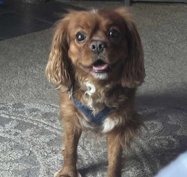 Photo of Kash