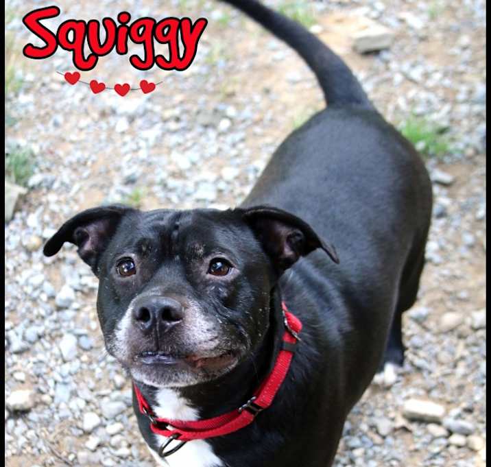 Photo of Squiggy