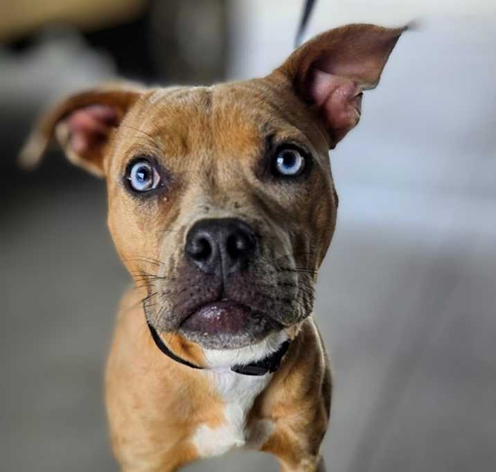 Photo of Harper