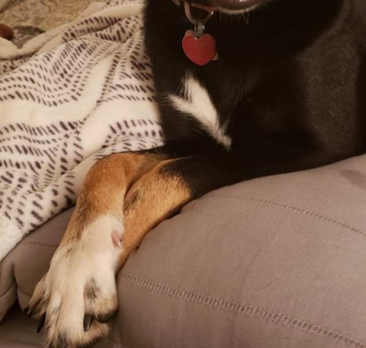 Photo of Allie