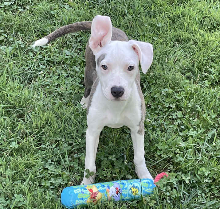 Photo of Nola