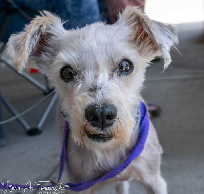 Photo of Kiwi