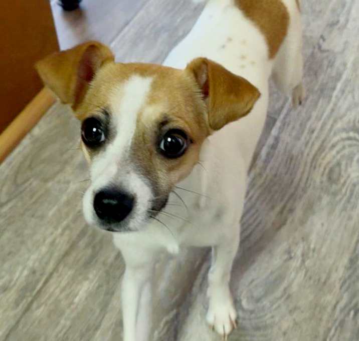 Photo of Seamus