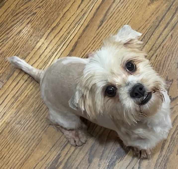 Photo of Holly