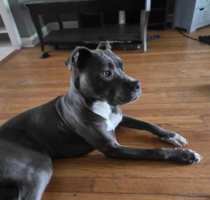 Photo of Tyson
