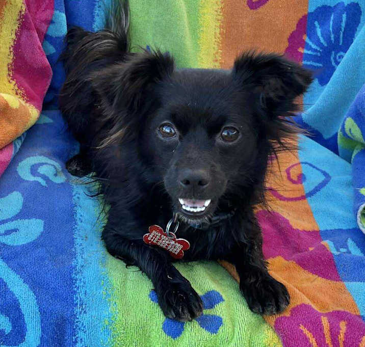 Photo of Buttons!