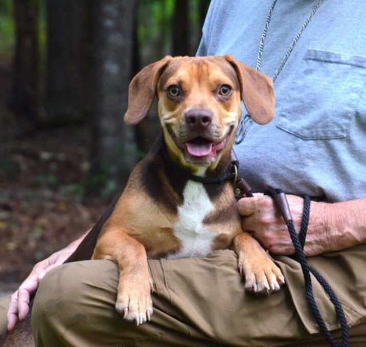 Photo of Benny