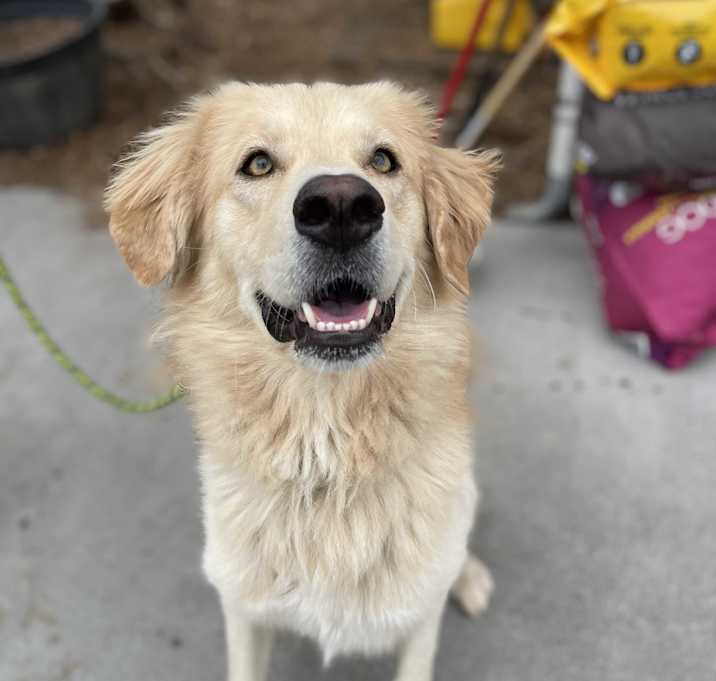 Photo of Marvin