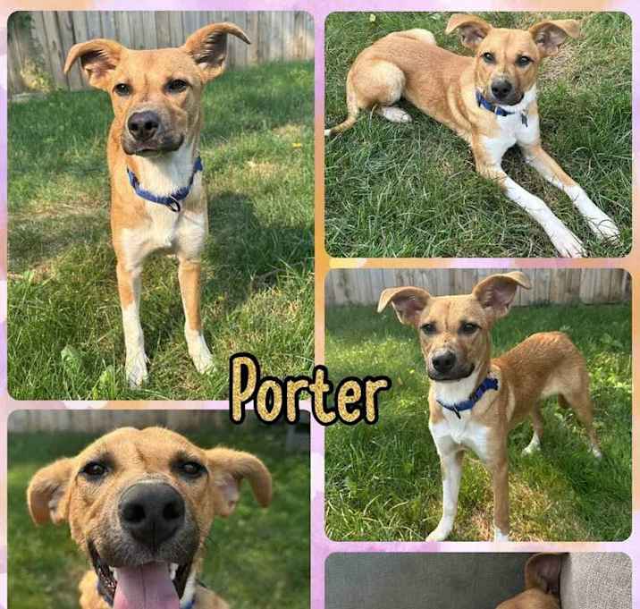 Photo of Porter