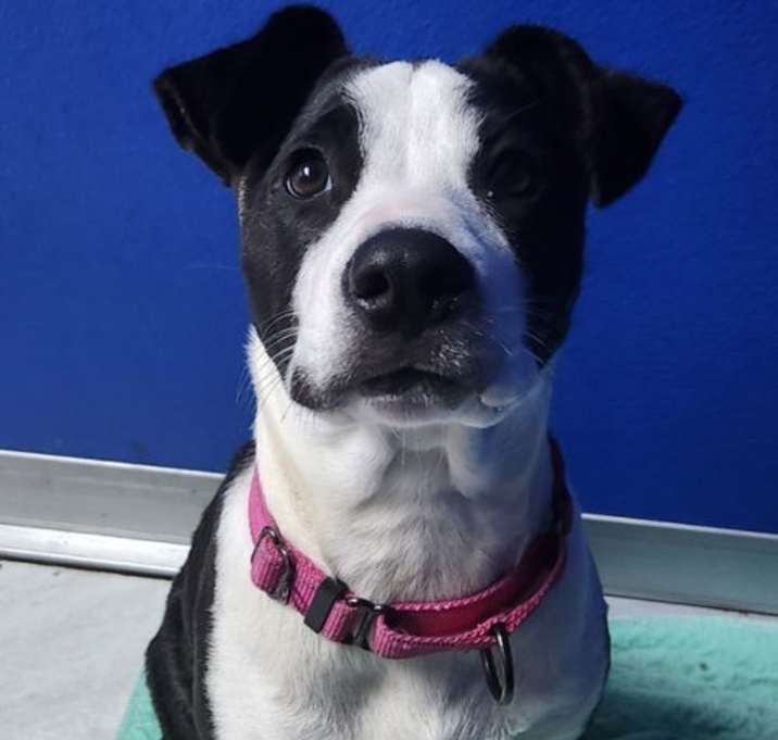 Photo of Ellie